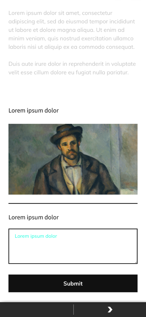 37-MG-edit_stop-form_builder-multi_line_input-text_styling.png